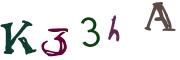 圖片的 CAPTCHA
