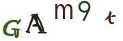 圖片的 CAPTCHA