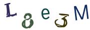 圖片的 CAPTCHA