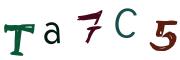 圖片的 CAPTCHA