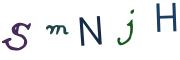 圖片的 CAPTCHA