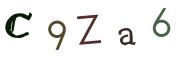 圖片的 CAPTCHA
