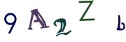 圖片的 CAPTCHA
