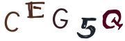 圖片的 CAPTCHA