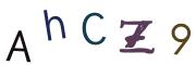 圖片的 CAPTCHA